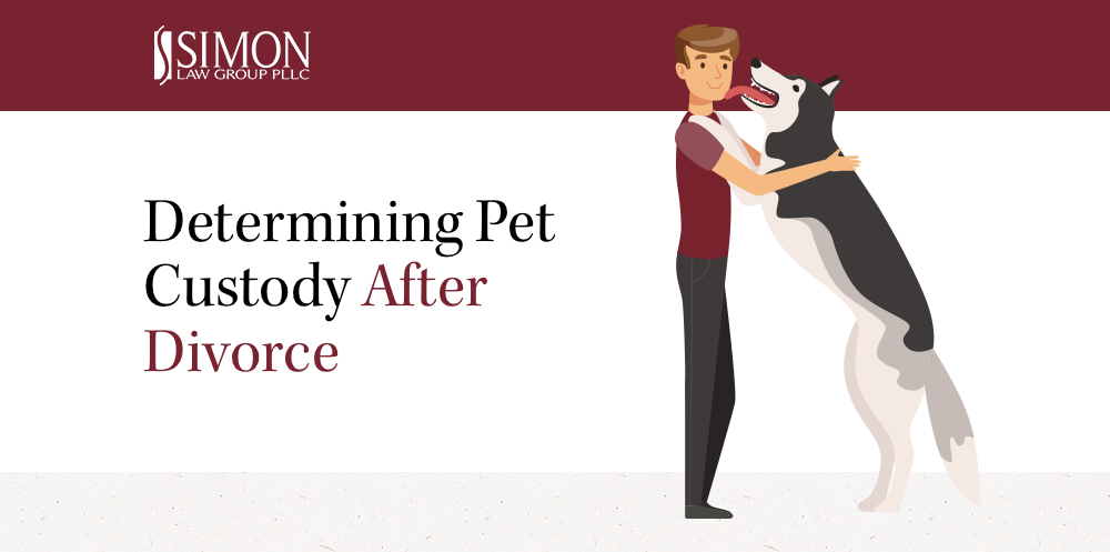 Pet custody after divorce