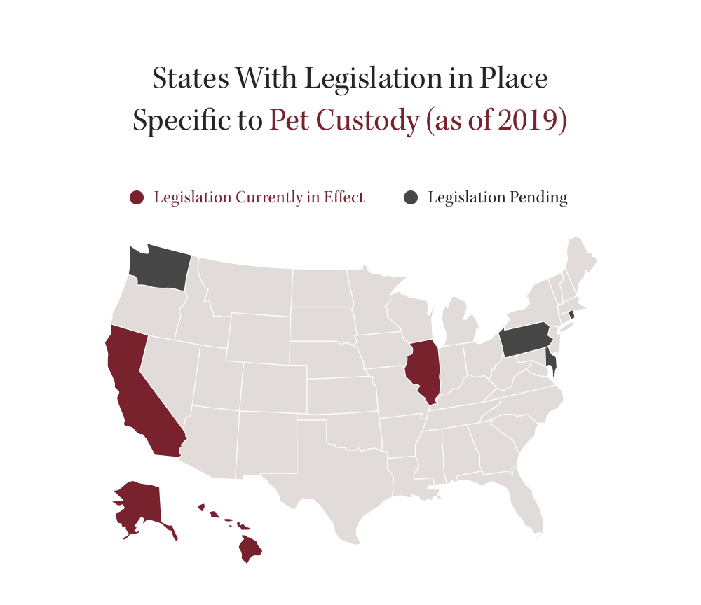 States with pet custody legislation