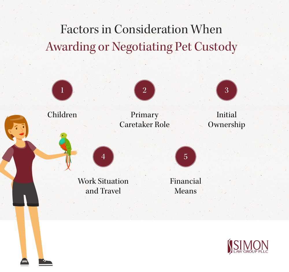 Factors for awarding pet custody